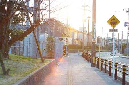 夕日に向かって