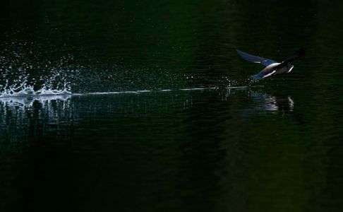 これからの課題？