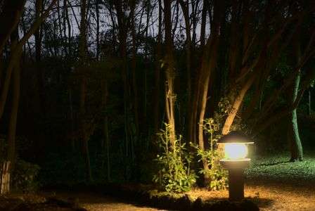 夜の葛西臨海公園