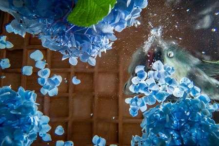 透明な水の底から