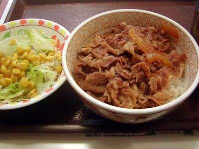 牛丼並＋サラダ