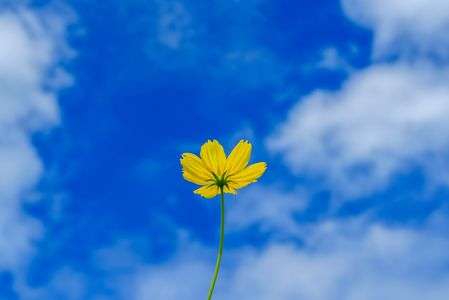 国立昭和記念公園