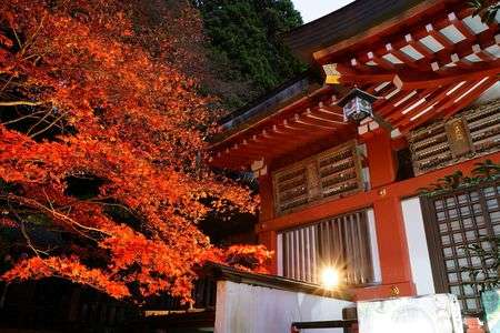 阿夫利神社の紅葉