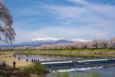 今年も見たかった景色