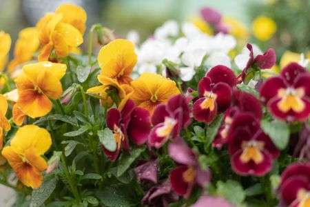 雨の日の撮影練習