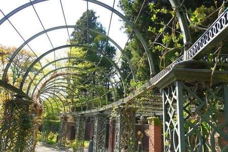 カラーもいいけど、モノクロ・セピア