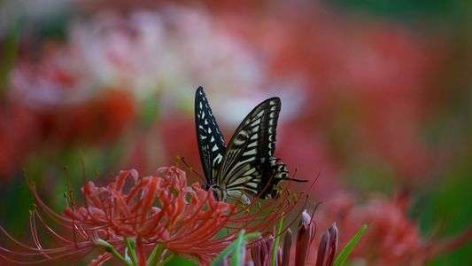 着地決まりました💖