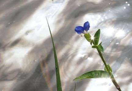 梅雨の晴れ間に