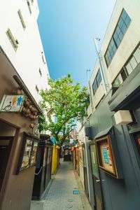 遠近感とは何か