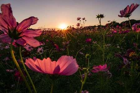 今日もお疲れ様
