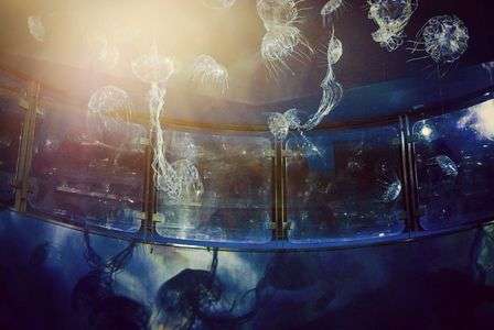 八景島シーパラダイスへ