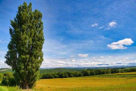 9月の富良野・美瑛