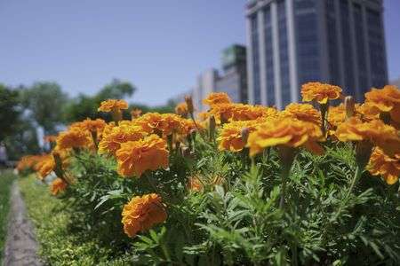 2020/7/18大通公園