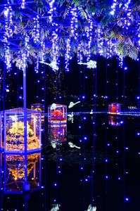 あしかが　イルミネーション