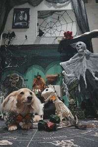 Halloween #カレンダー2024