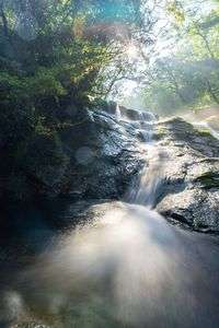 四十三万の輝き