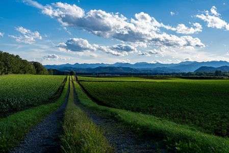 カントリー・ロード【中札内村】#1