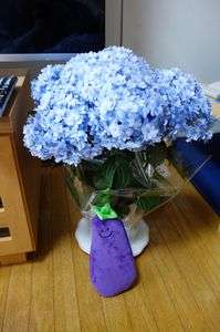 あじさいとナス君。