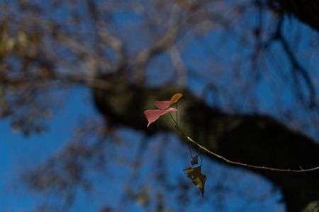 各務原市　学びの森