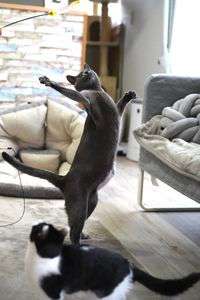 大きくなってみたよ。笑