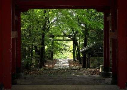雨の翌日、お参りから帰る
