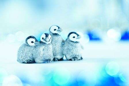 ミクロなものたち