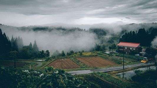 雨上がりの濃霧
