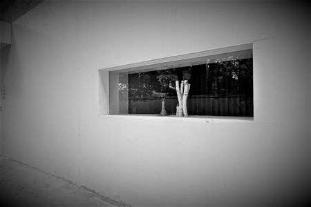 モノクロームの夏