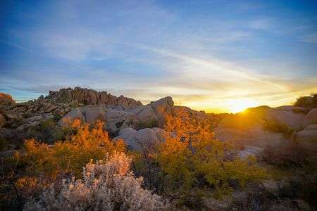 ジョシュアツリーでの朝日を撮影 vol.2