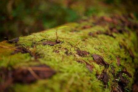 足元に目をやって