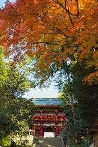 久能山東照宮にて