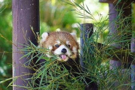 もぐもぐタイム