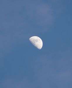 大好きなお月さま
