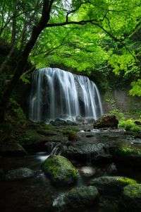 達沢不動滝の夏