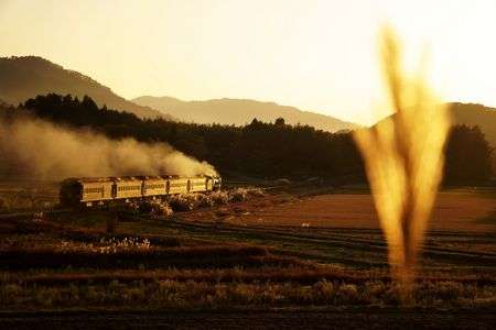 バイバイまたね