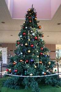 クリスマスツリーとクリスマスリース