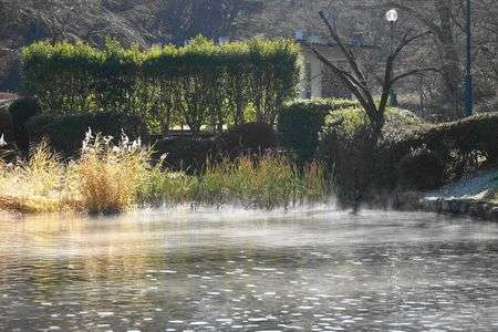 寒い朝　気嵐立つ「森林公園の大池」