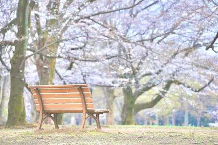 また人を乗せる日まで