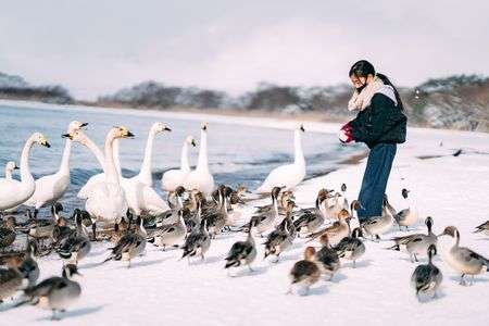 野鳥とのふれあい