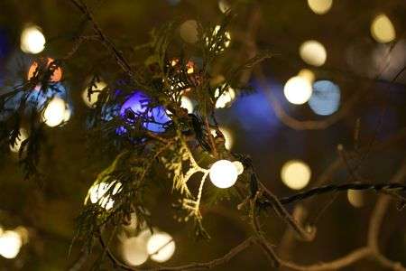 イルミネーション