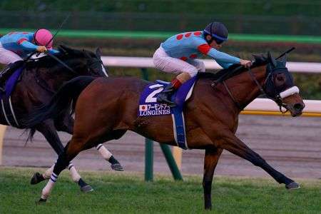 アーモンドアイ　ジャパンカップ2