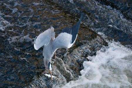 α7Vプリ撮影で撮れました！！！