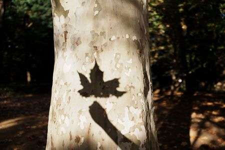 RX1RIIIとお散歩 その2