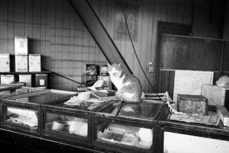 ノスタルジック