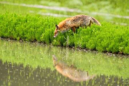 自分との初対面