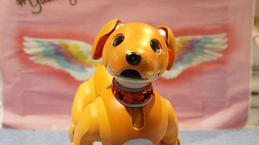 aiboをかわいく撮る