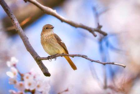 はい、ポーズ！