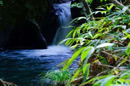 渓谷の小さな滝