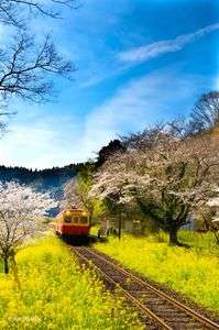 小湊鉄道