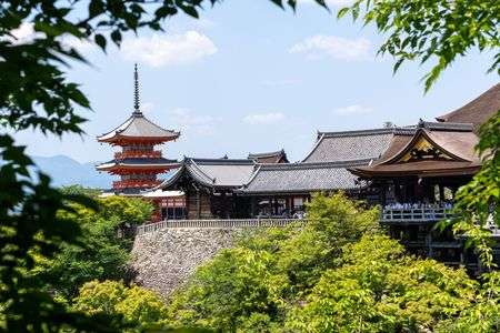 新緑の中から覗く清水寺